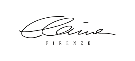 Logo Elaine Firenze